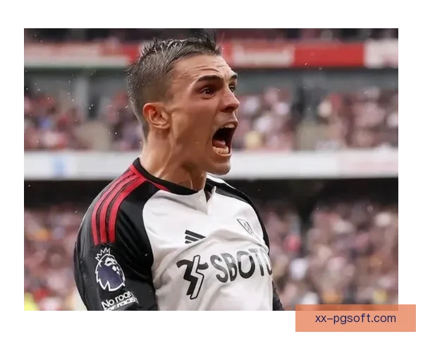 帕利尼亚正式加盟拜仁开启新赛季征程引关注